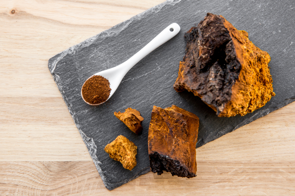 Ingredient Spotlight: Chaga, King of Medicinal Mushrooms