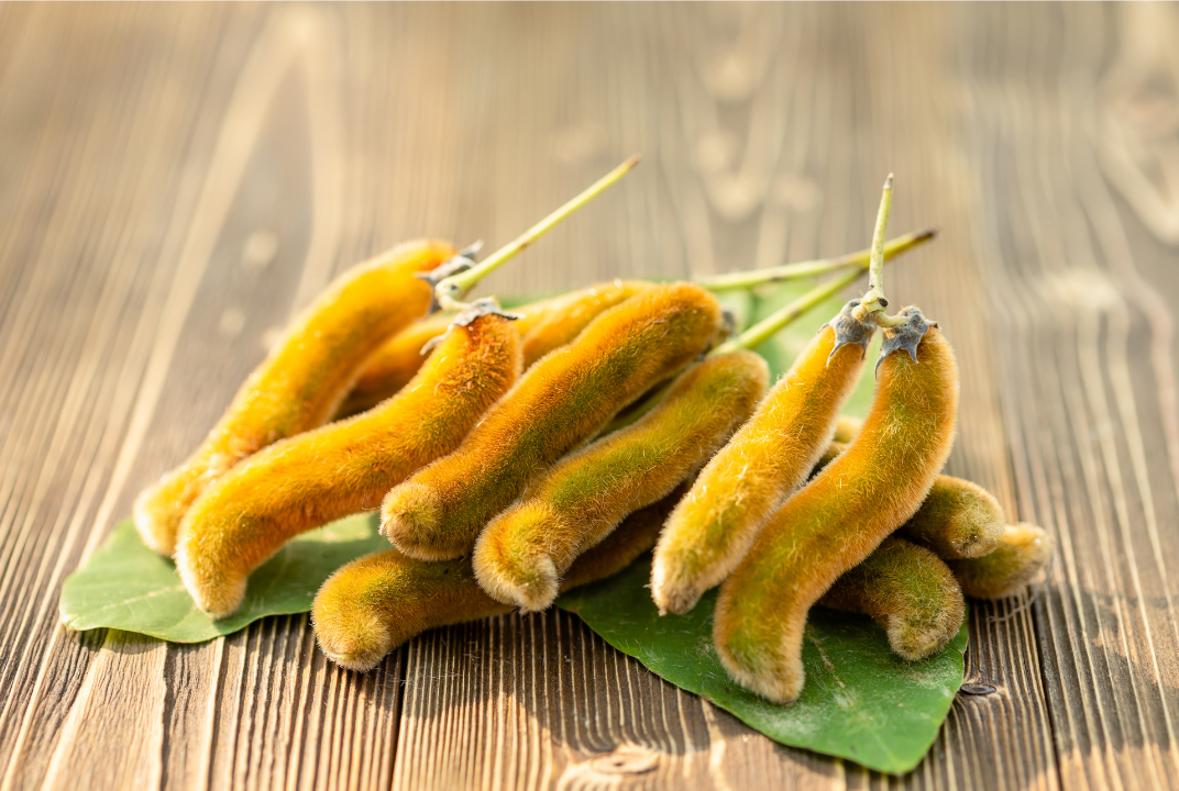 Mucuna Pruriens: The Natural Mood Booster