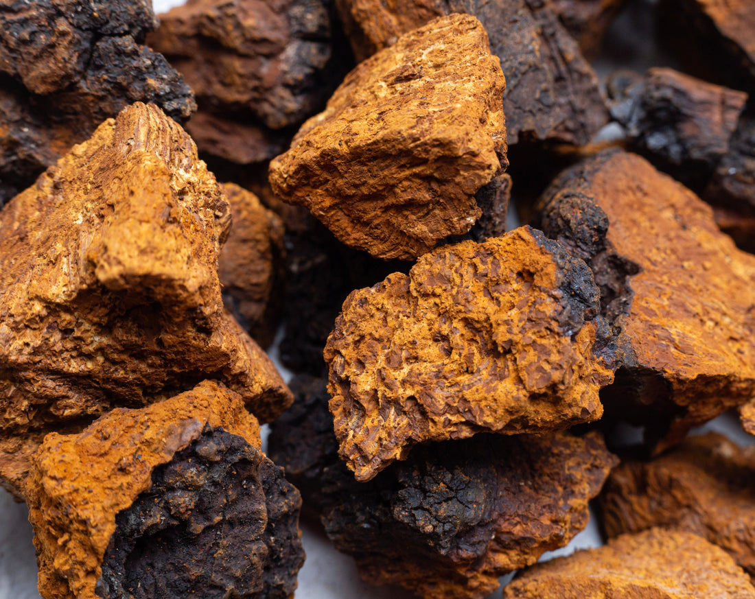 Shilajit: Nature’s Ancient Superfood