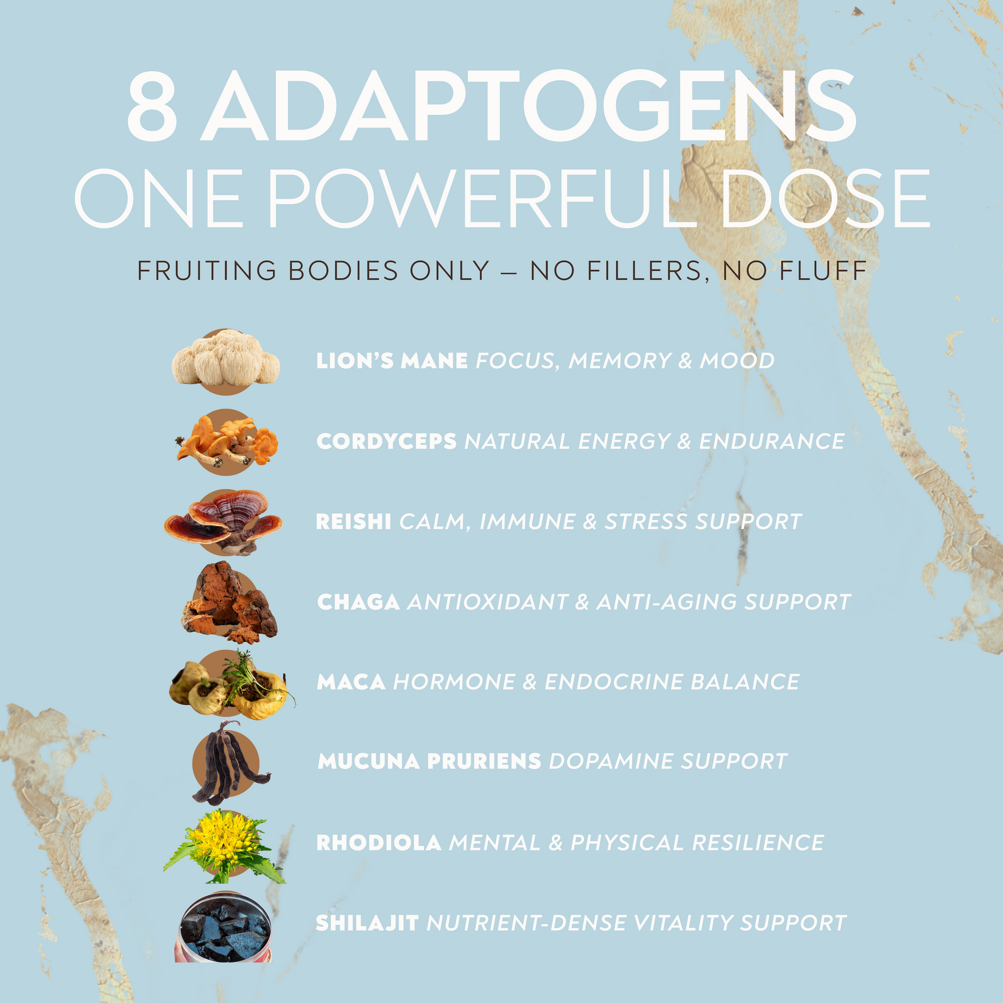 Supernatural Mushroom Coffee